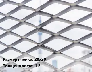 Сетка ЦПВС 20х20 s=1.2